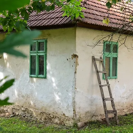 Kuca Za Odmor Radovanovic 데스포토바츠