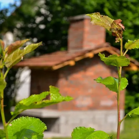 게스트하우스 Kuca Za Odmor Radovanovic 3*