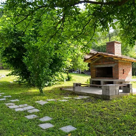 Kuca Za Odmor Radovanovic Guest house Despotovac
